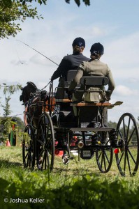 dressuur en vaardigheid  nienoord 10-8-2015  joshua keller-0444       